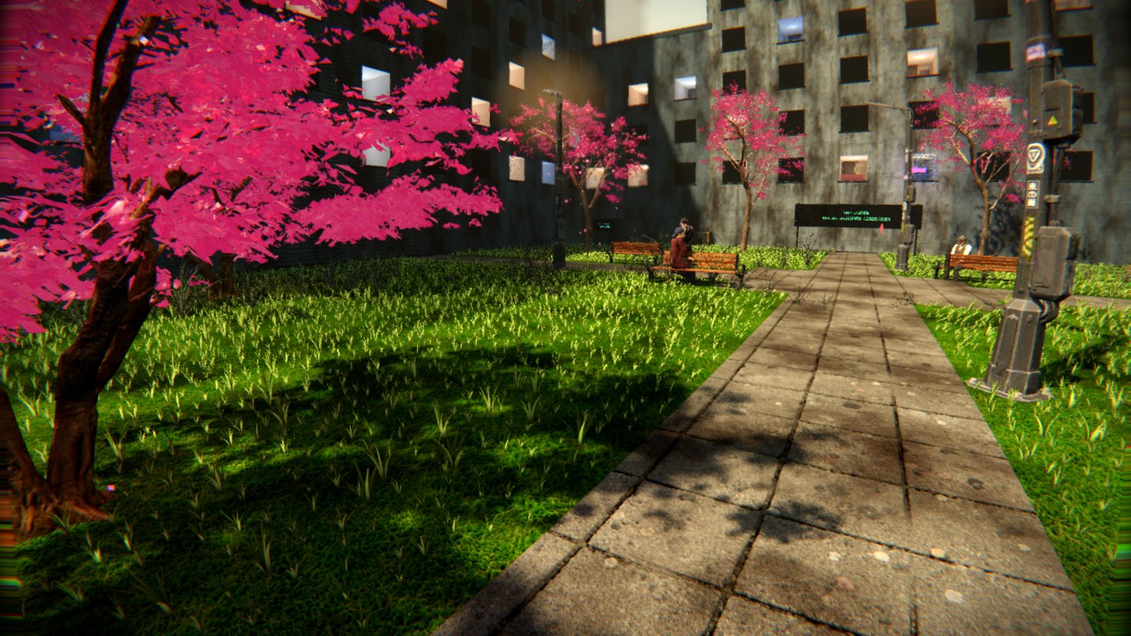 Kestrel Garden: a paved path through long grass under cherry trees